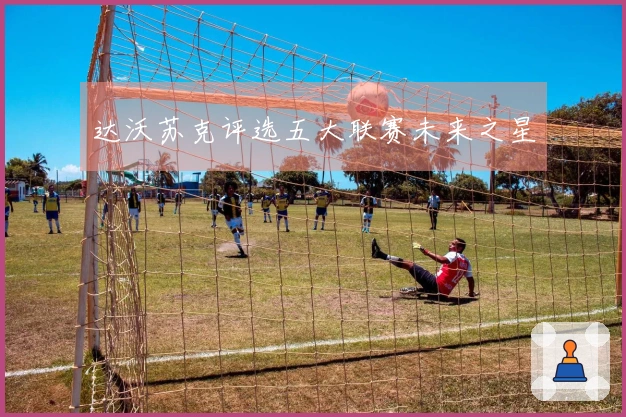 达沃苏克评选五大联赛未来之星