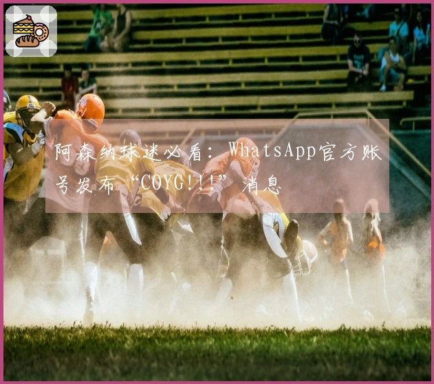 阿森纳球迷必看：WhatsApp官方账号发布“COYG!!!”消息