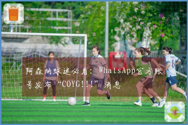 阿森纳球迷必看：WhatsApp官方账号发布“COYG!!!”消息