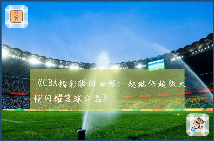 《CBA精彩瞬间回顾：赵继伟超级大帽闪耀篮球公园》